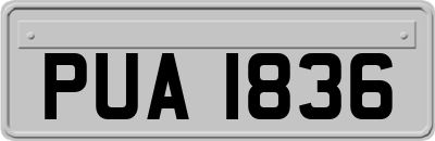 PUA1836