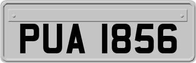 PUA1856