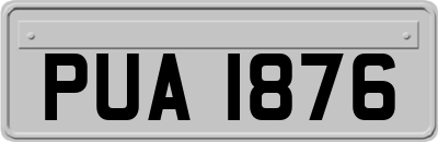 PUA1876