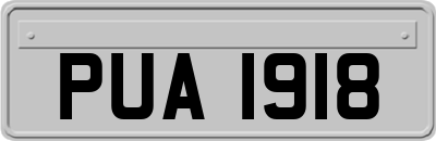 PUA1918