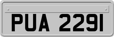 PUA2291
