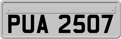 PUA2507