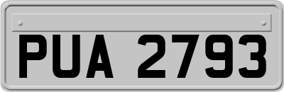 PUA2793