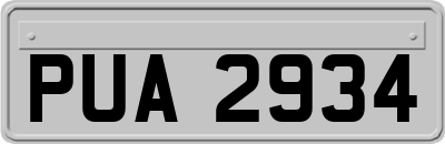 PUA2934