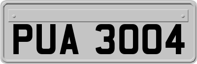 PUA3004
