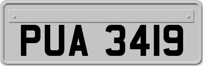 PUA3419