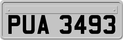 PUA3493