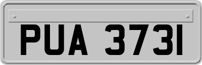 PUA3731
