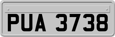 PUA3738