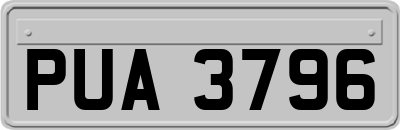 PUA3796
