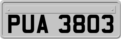 PUA3803