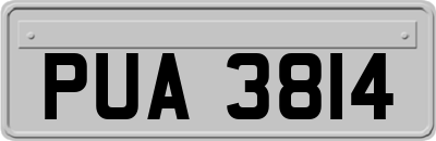 PUA3814