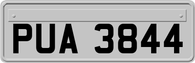 PUA3844
