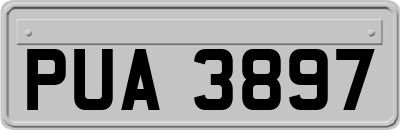 PUA3897