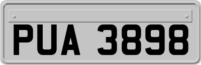 PUA3898