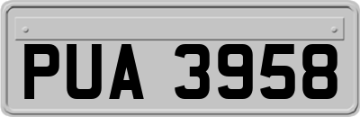 PUA3958