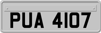 PUA4107