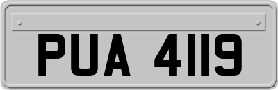 PUA4119
