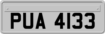PUA4133