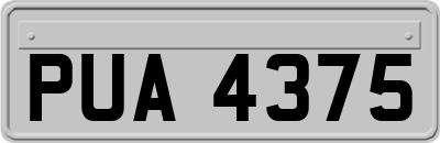 PUA4375