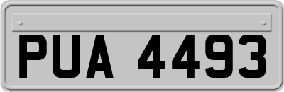 PUA4493