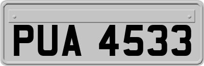 PUA4533