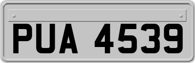 PUA4539