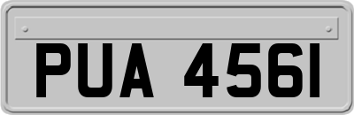 PUA4561