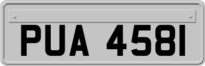 PUA4581