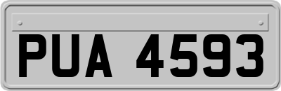 PUA4593