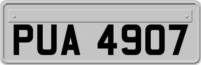 PUA4907