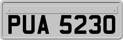 PUA5230
