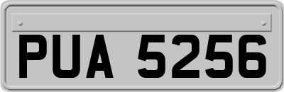 PUA5256