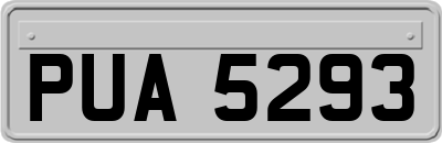PUA5293
