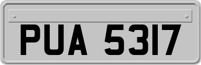 PUA5317