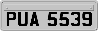 PUA5539
