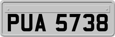 PUA5738