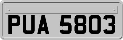 PUA5803