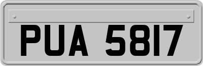 PUA5817