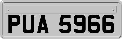 PUA5966
