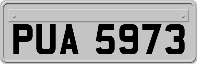 PUA5973