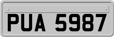 PUA5987