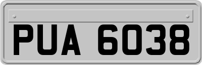 PUA6038