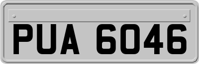 PUA6046