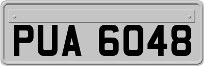 PUA6048