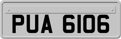 PUA6106