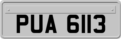 PUA6113
