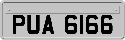 PUA6166