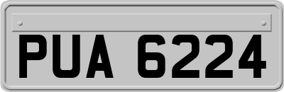 PUA6224