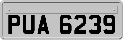 PUA6239